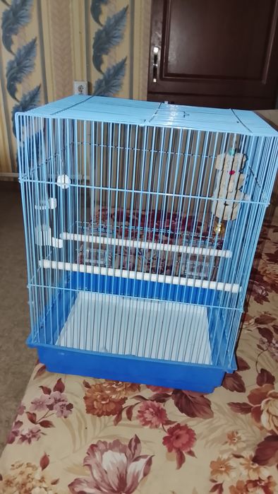 клетка для попугая.