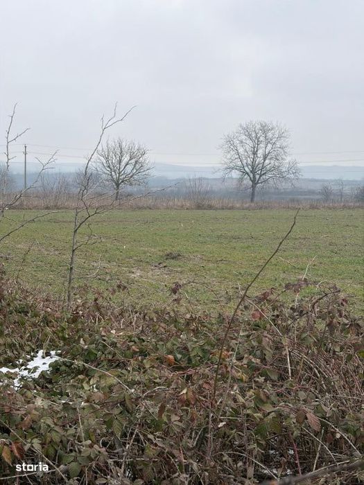 Teren de 9000mp, la intrarea in Filiasi ,la 300m de str. Racoteanu