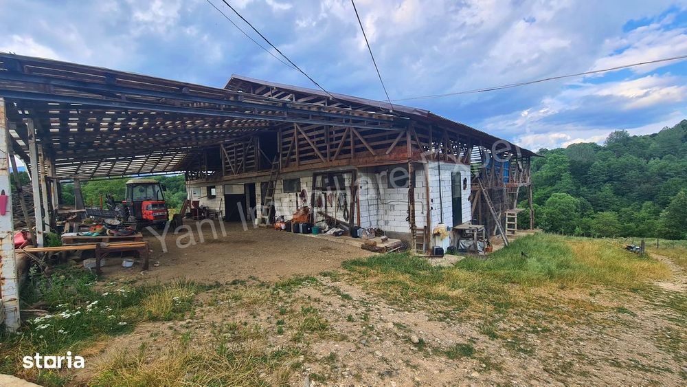 Fermă de animale + teren de vânzare în comuna Bughea de Jos, Argeș.