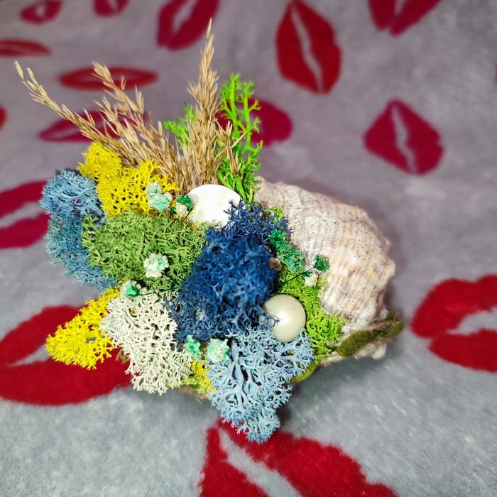 Бурканчета и мини кашпи с естествен скандинавски мъх