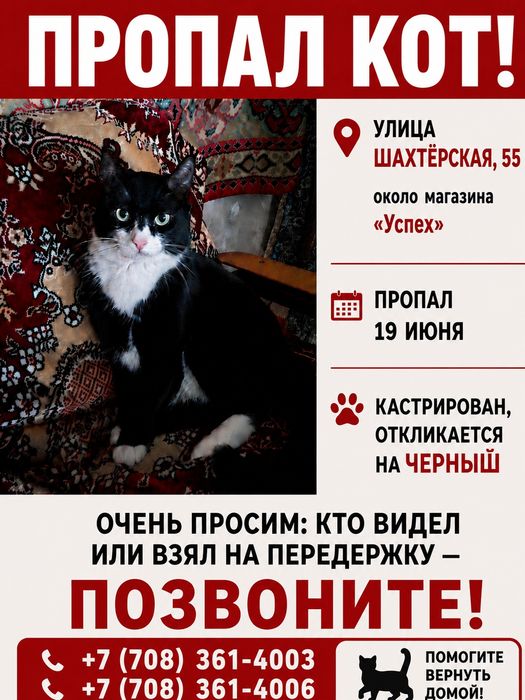 Пропал кот Сарань