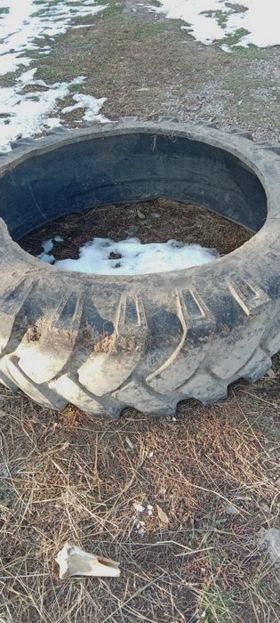 Покрышка кармушка для лошадеи