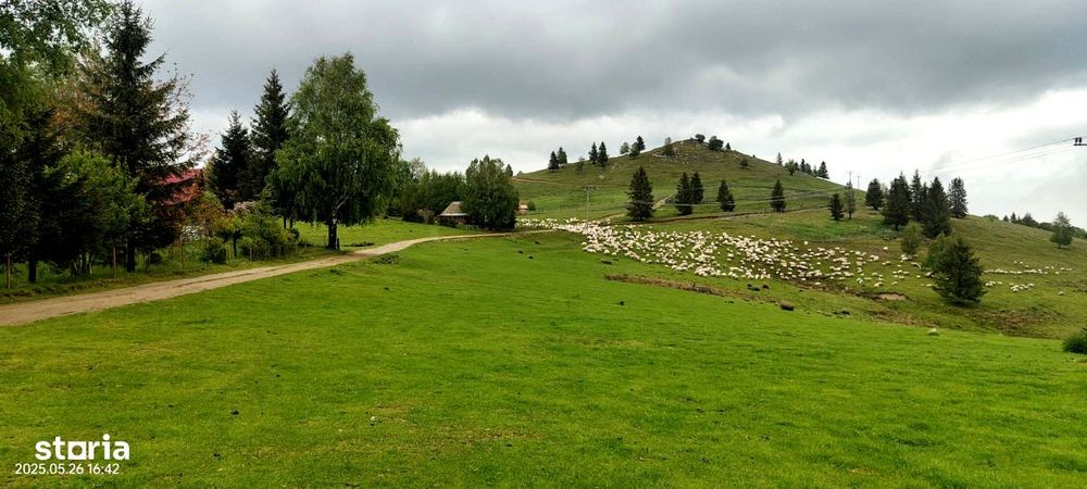 Teren de vanzare PUZ Aprobat in Paltinis