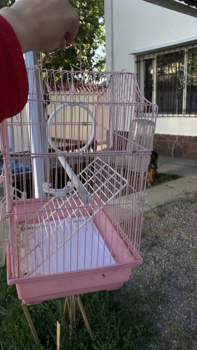 Сетка для птицы