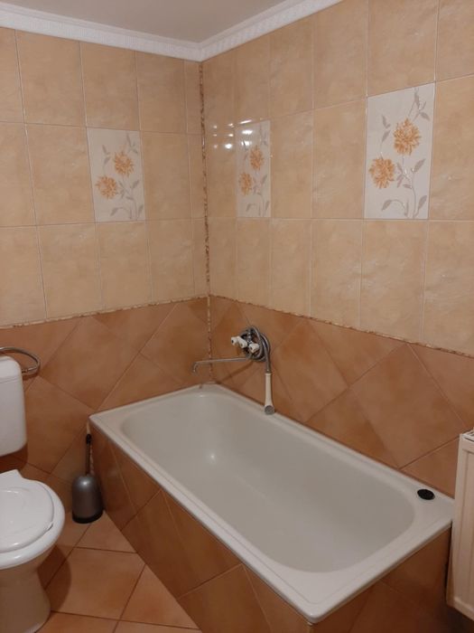 De vanzare casa in sat Olosig