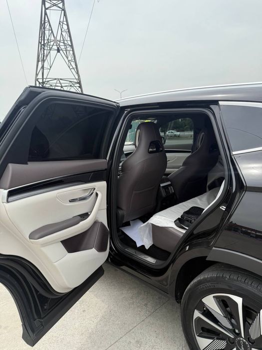 Byd chimpion smart
