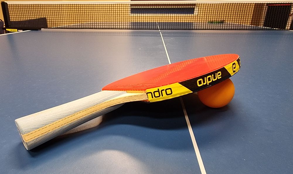 Paleta profesionala premium DHS HURRICANE LONG 5 OFF+