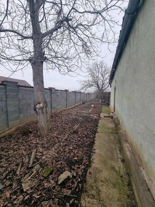 Vând casă Sagu 1440 mp teren