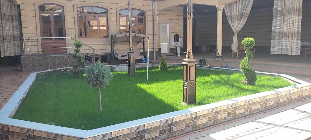 Газон тайёри ва ўруғдан экамиз гарантия 100%