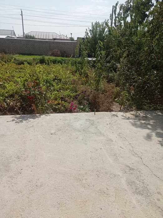 Hovli sotiladi 10 sotix