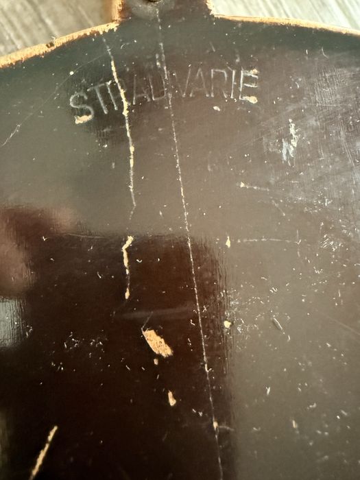 Vioara Antonius Braun