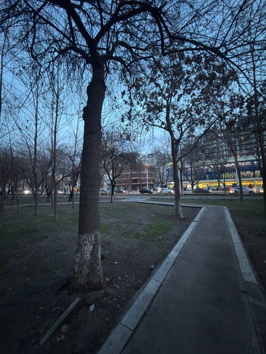Срочно 3хком аренда в центре