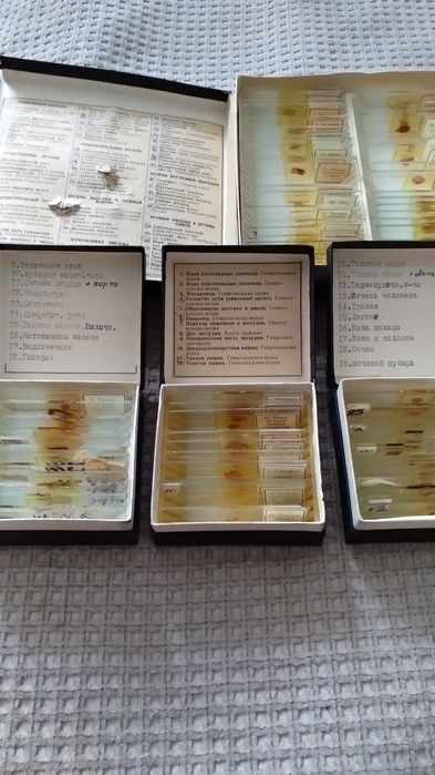 препараты для микроскопа