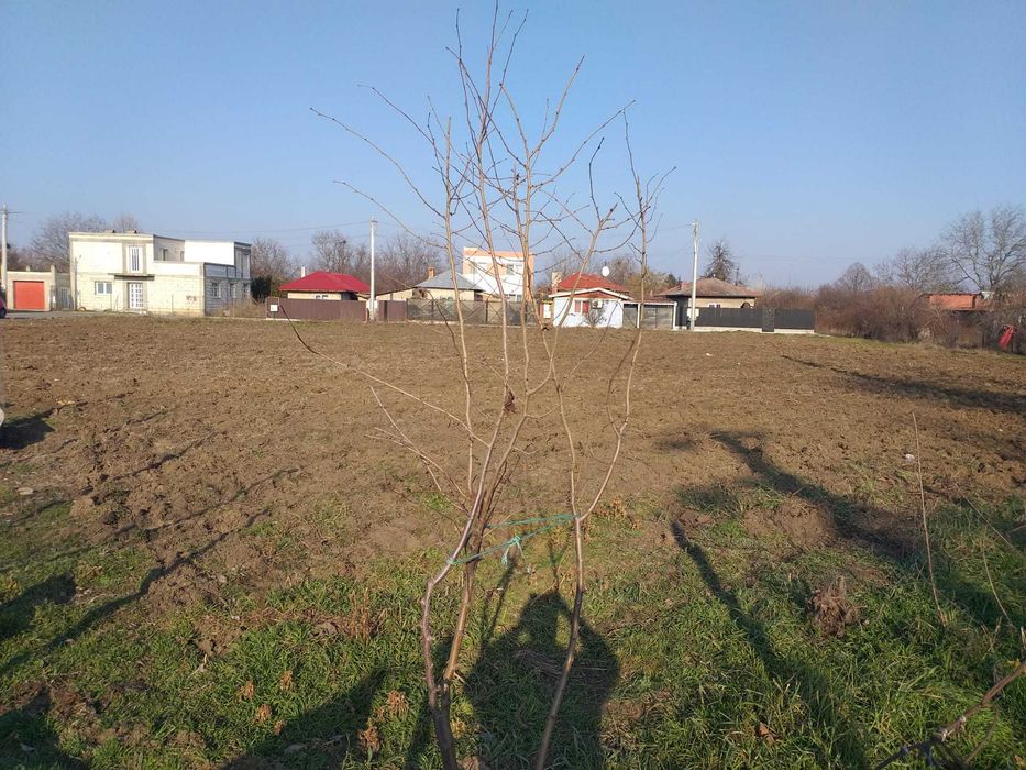 Teren de vânzare intravilan in Giurgiu oras/municipiu