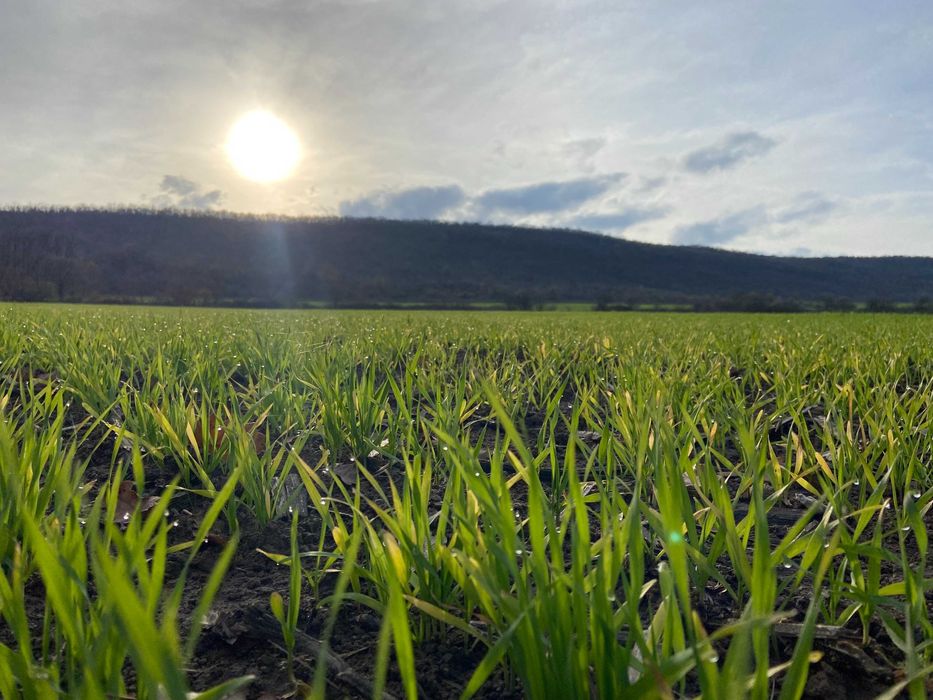 Продава се Земеделски имот в Варна, Автогара -  кв.м за 1071 €/дка - Снимка #4