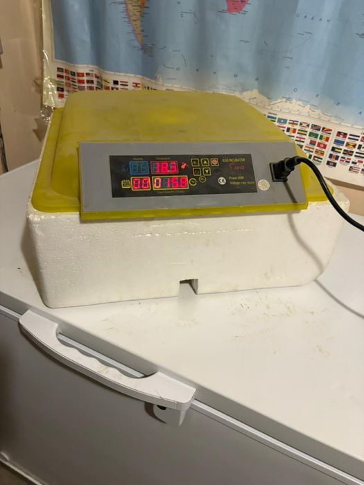 Инкубатор для яиц