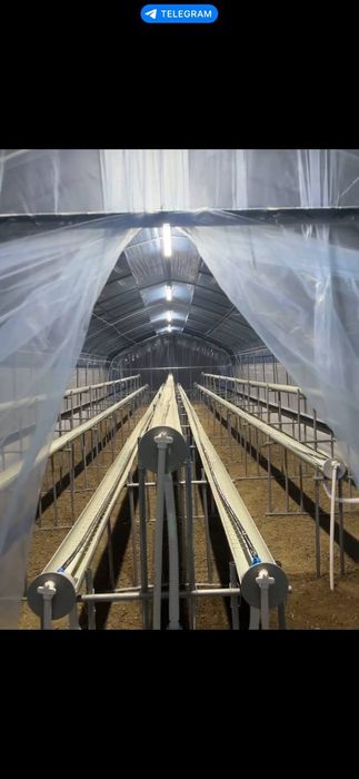 Парник тез  сотилади