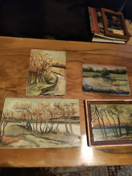 Лот от картини на една художничка...
