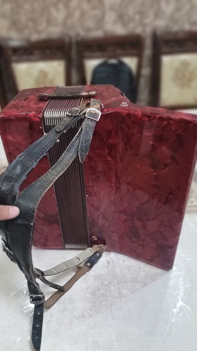 Akkordeon Sotiladi Weltimeistr stella