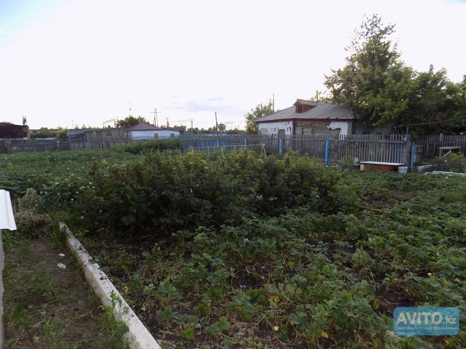 Продам Дом в п. Шортанды