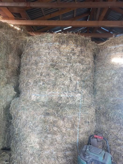 Vand baloti de lucerna