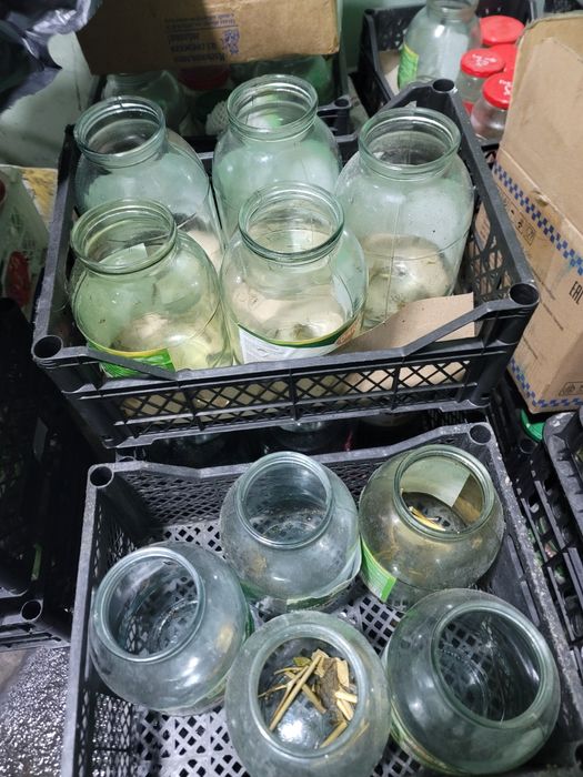 Банки и канистор продам