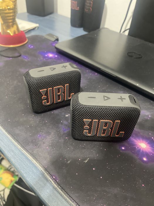 Vand 2x jbl go4.