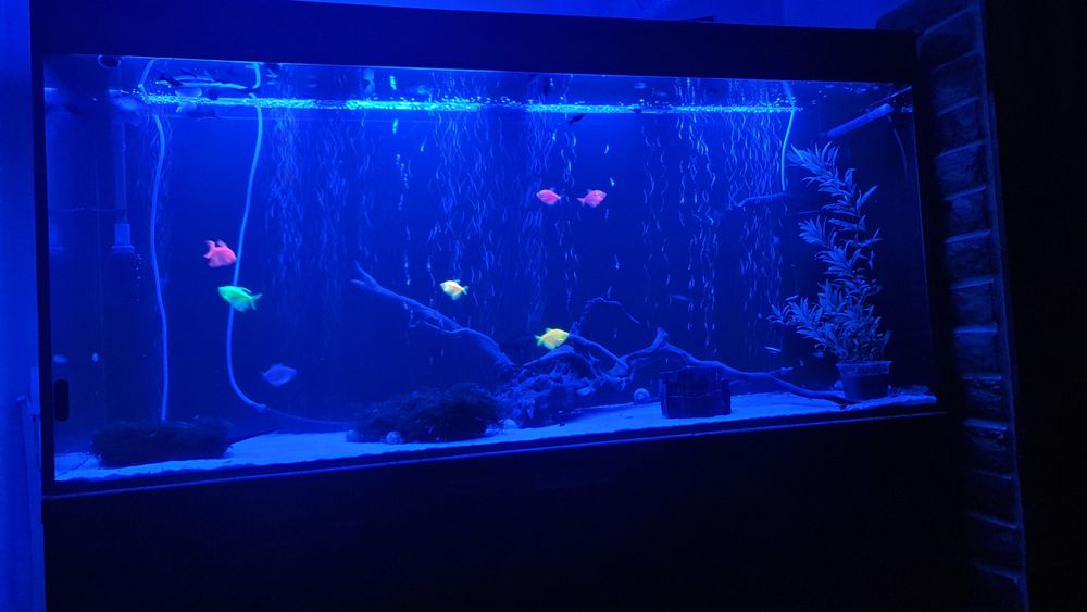 Продам аквариум 400л