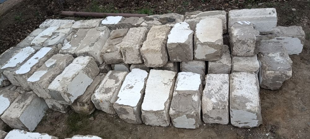 Ракушеблок бушный