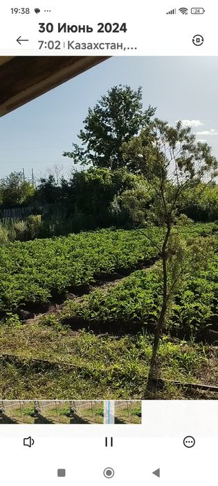 Продаю дачу не дорого