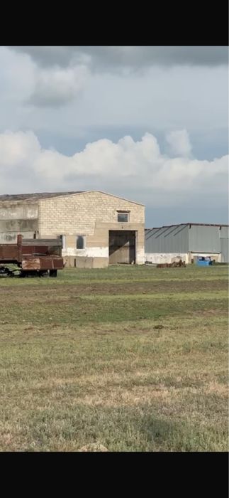 Продам крестьянское хозяйство