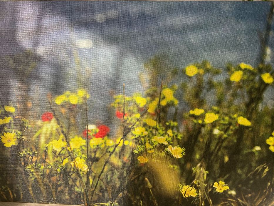 Канава Пролет 80/60