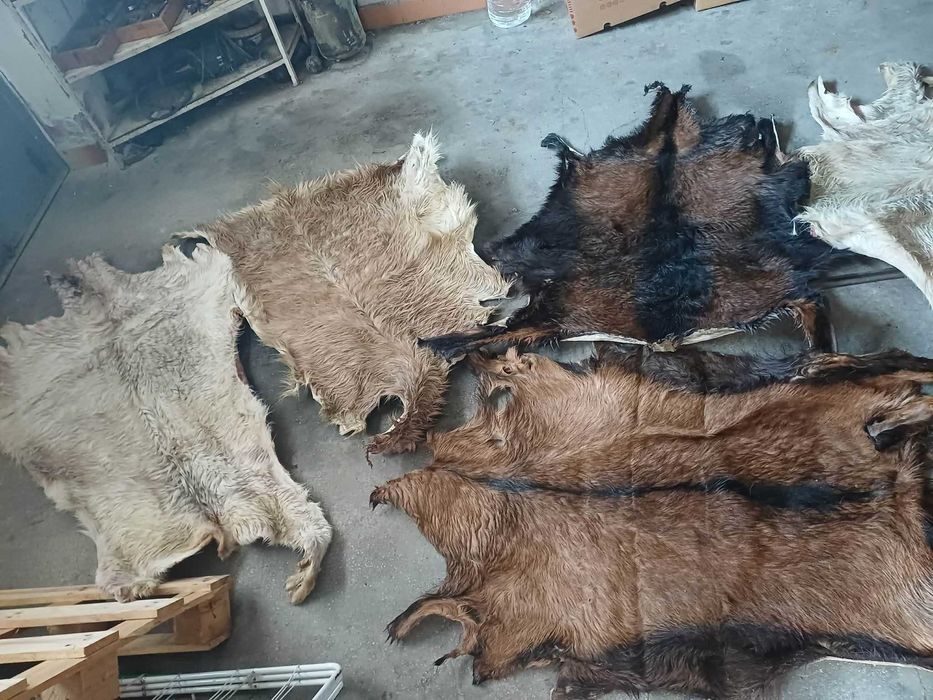 кожа от коза или пръч