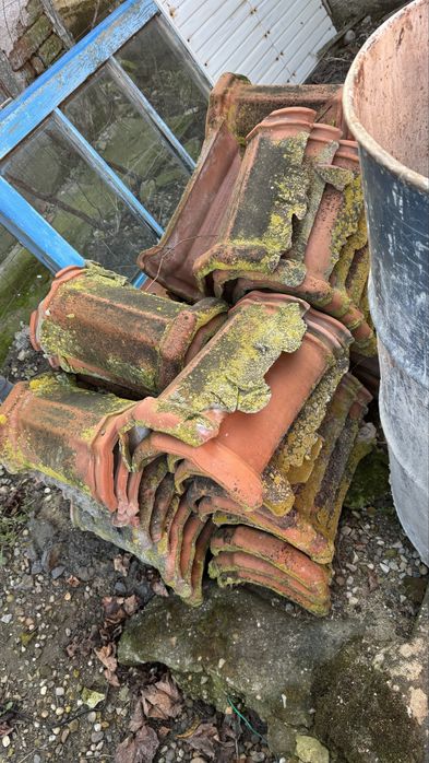 Vand tigla kikinda ca noua a stat pe casa 4 ani pret 2 lei 2100 de buc