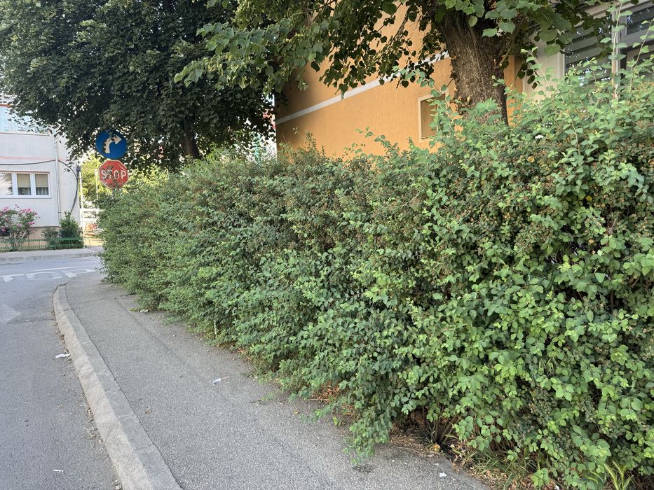Oferim servicii de întreținere spații verzi, curți și grădini  în Sibiu  și împrejurimi.