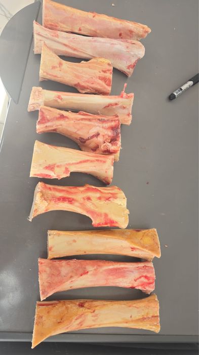 Тибон,Рибай,Бон филе