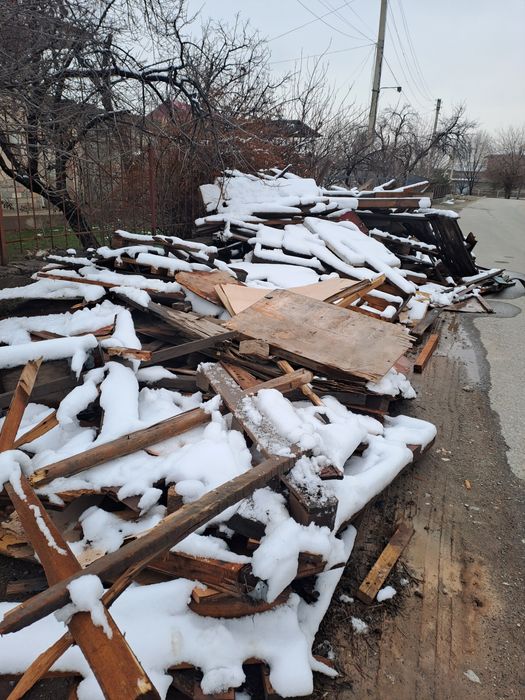 O'tin taxta, Утин тахта ва чёрний паталоклик тахта (utin taxta)