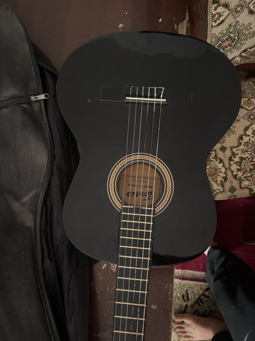 Гитара  Terris Tc-390A