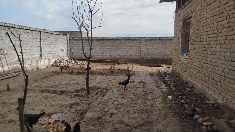 Srochna 3 sotuk uchastka sotiladi