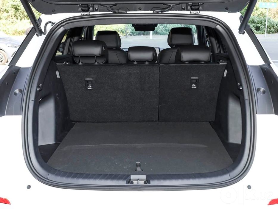 Byd sealion 06 ev