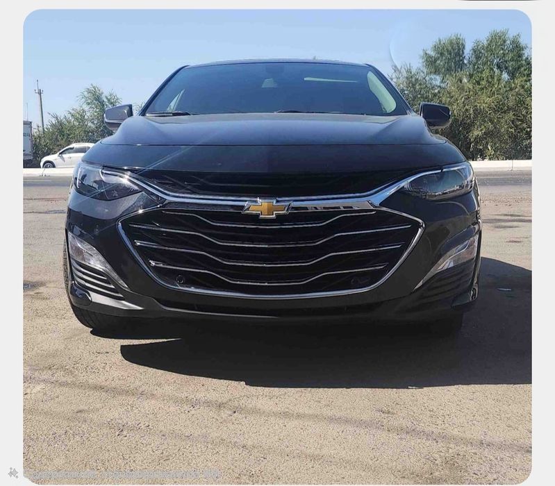 Malibu2 trend bukhara