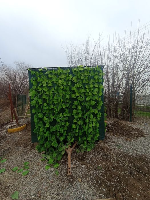 Butka sotiladi narxini kelshamz 2ta baloni bor