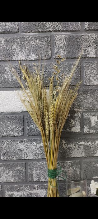 Колосья пшеницы букет