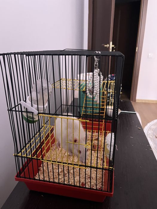 продам клетку для крыс хомяков