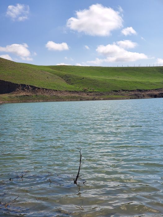 Ищу инвестора партнера