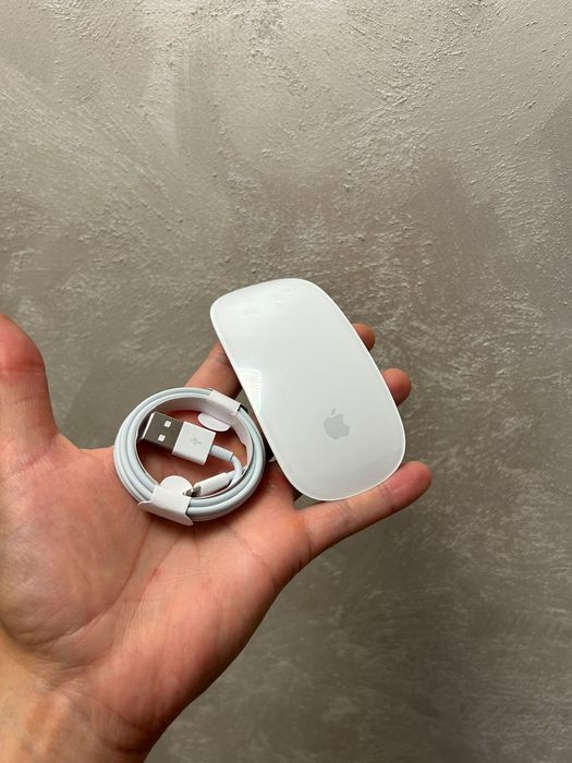 • Apple Magic Mouse 2 •