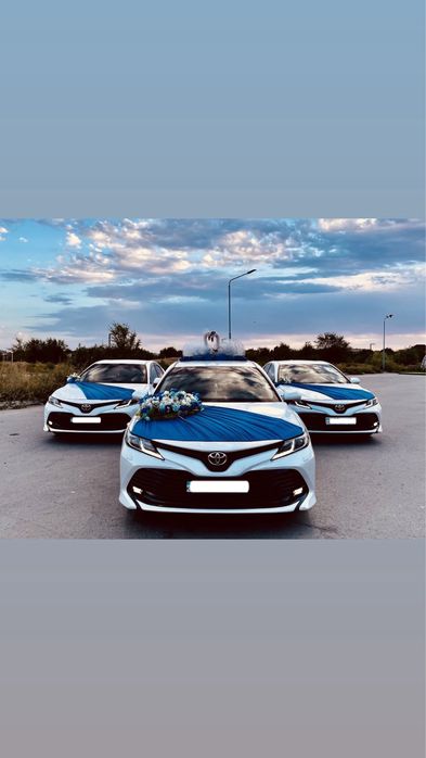 Аренда VIP АВТО!