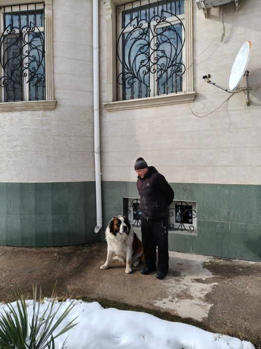 Продается московская старажевая