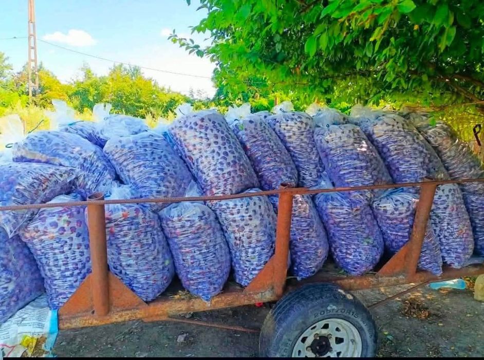 Prune pentru tuica