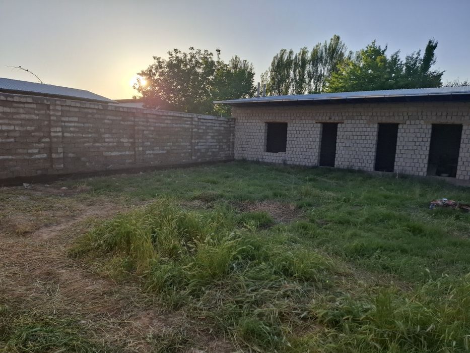 Буз сувда ховли ферма коробка